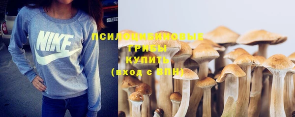 таблы Горнозаводск