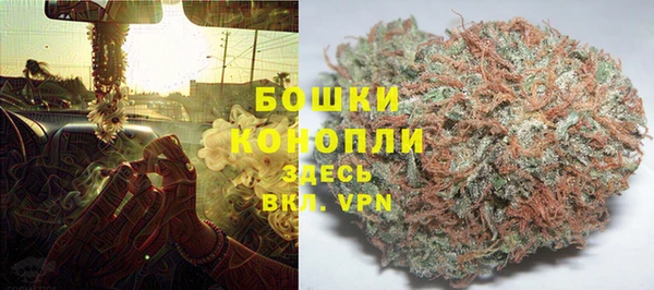 стафф Вяземский