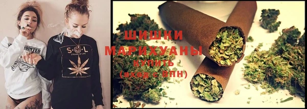 стафф Вяземский