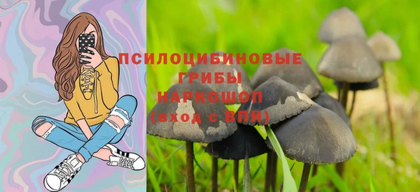 стафф Вяземский