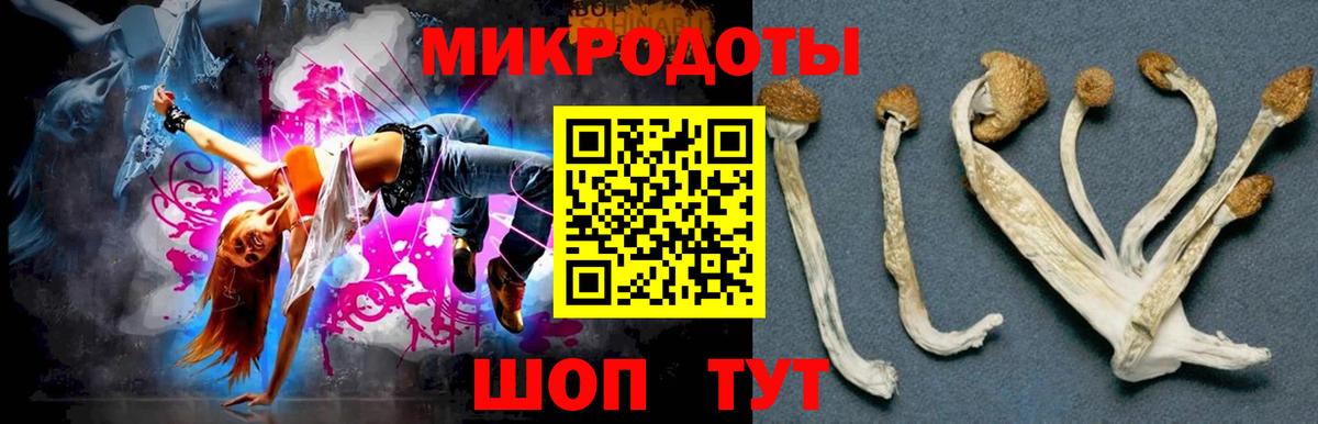 Галлюциногенные грибы MAGIC MUSHROOMS Гусев