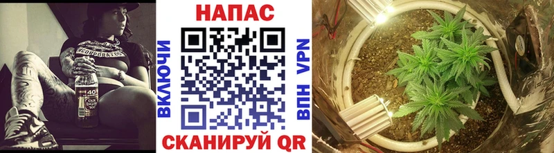 наркота  Гусев  Бошки Шишки план 